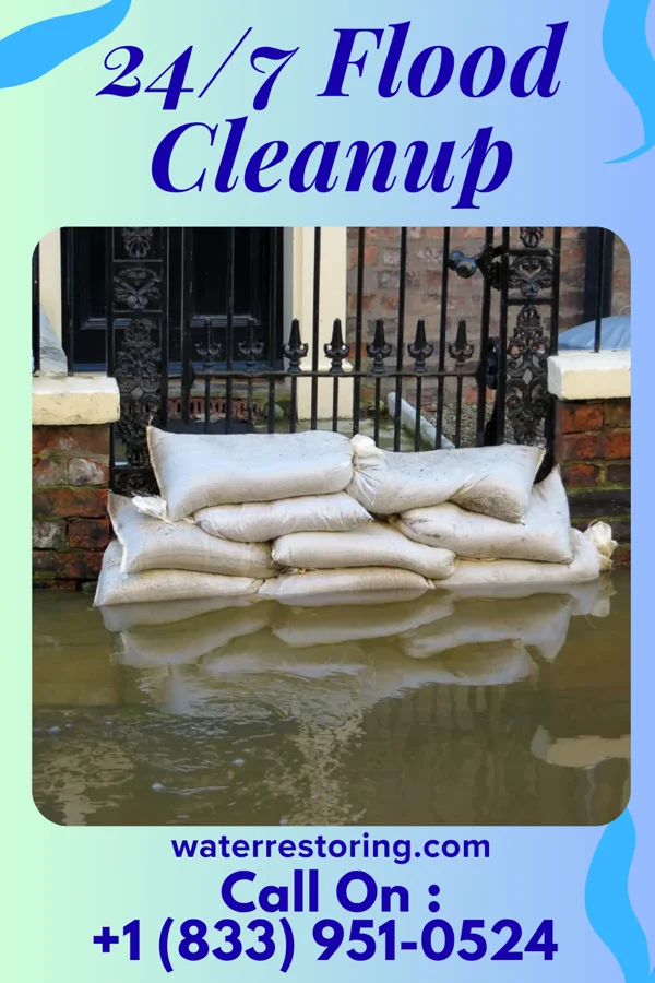 24/7 Flood Cleanup in Lake City, IL