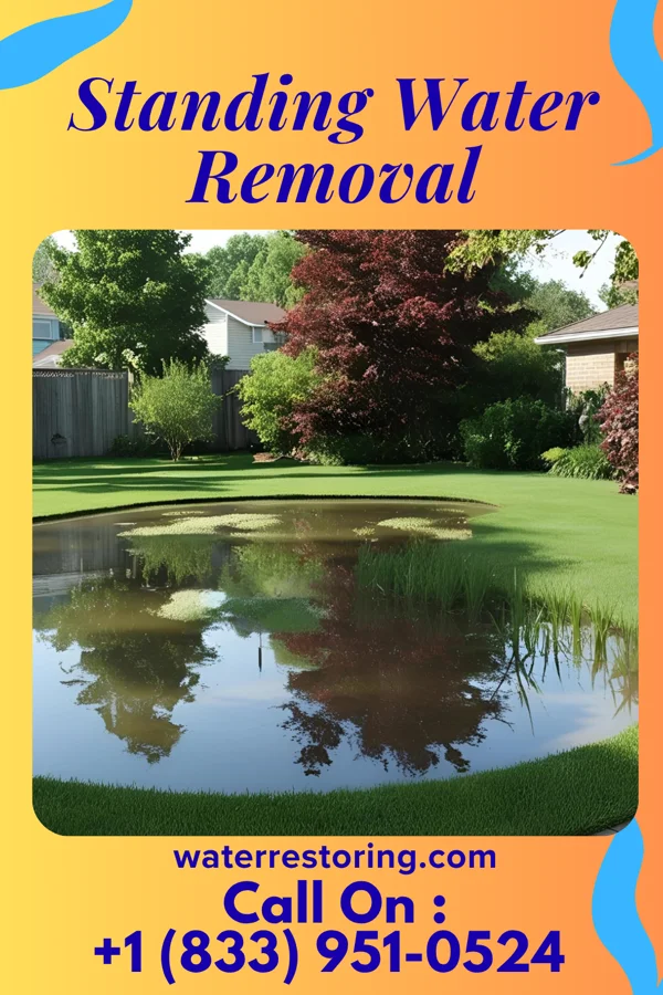 Standing Water Removal in Lake City, IL